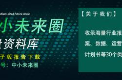 2025年电竞周边外设行业欧洲市场开拓战略分析报告