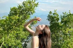 张家界门票(piào)2025门票(piào)多(duō)少钱？2025门票(piào)价格预测+购买指南(nán)，提前收藏(cáng)！