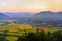 电竞比赛奖金丰厚，选手们激烈角(jiǎo)逐