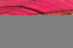 翰林文化节破圈，千年松塘焕新(xīn)