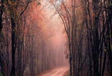 2025英雄联盟全球总决赛开启,多家院线将直播赛事