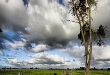 硬(yìng)件厂商入局电竞生态圈