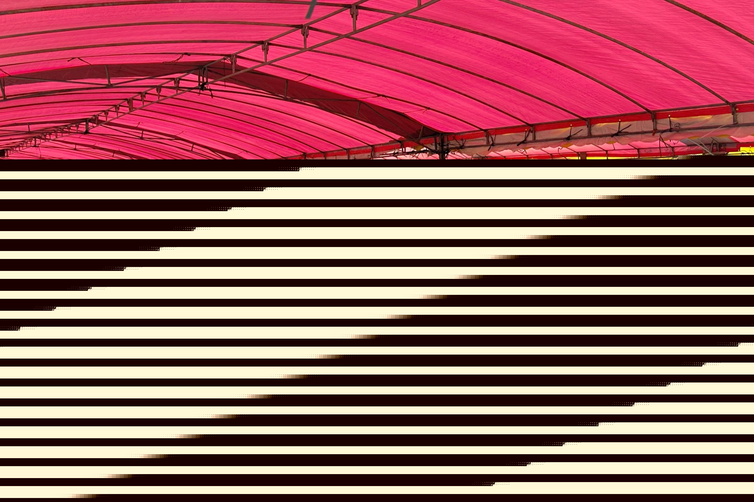 翰林文化节破圈,千年松塘焕新