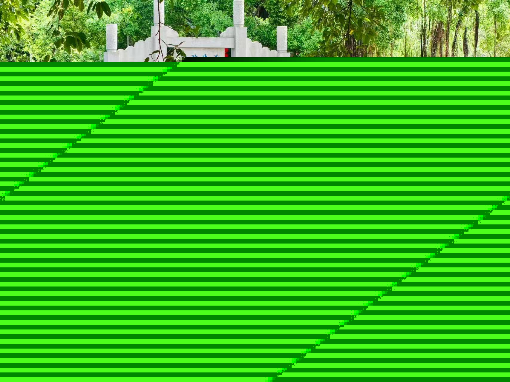 翰林文化节破圈,千年松塘焕新