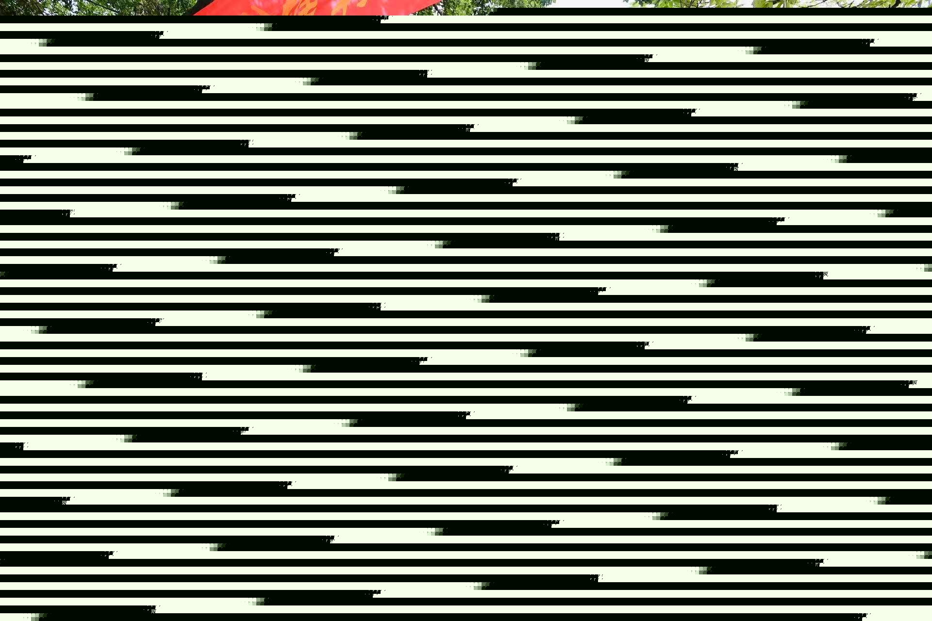 翰林文化节破圈,千年松塘焕新