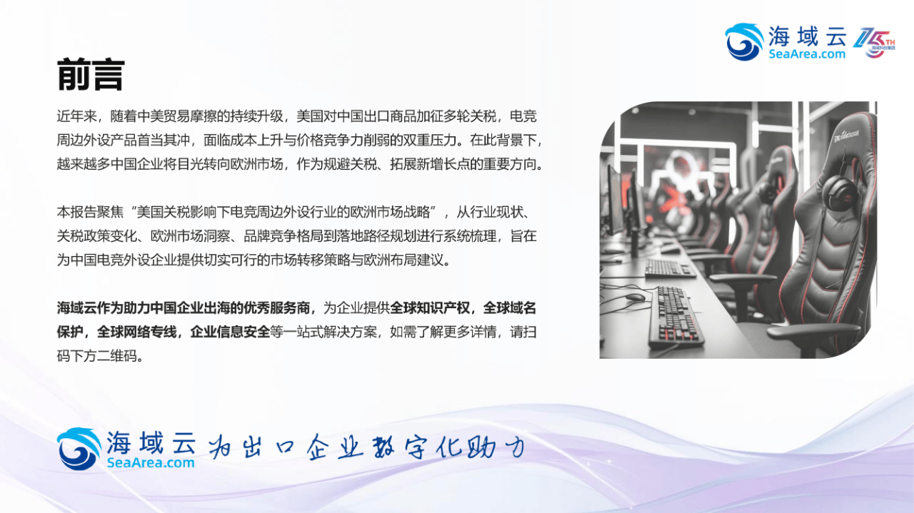 45页|2025年电竞周边外设行业欧洲市场开拓战略分析报告