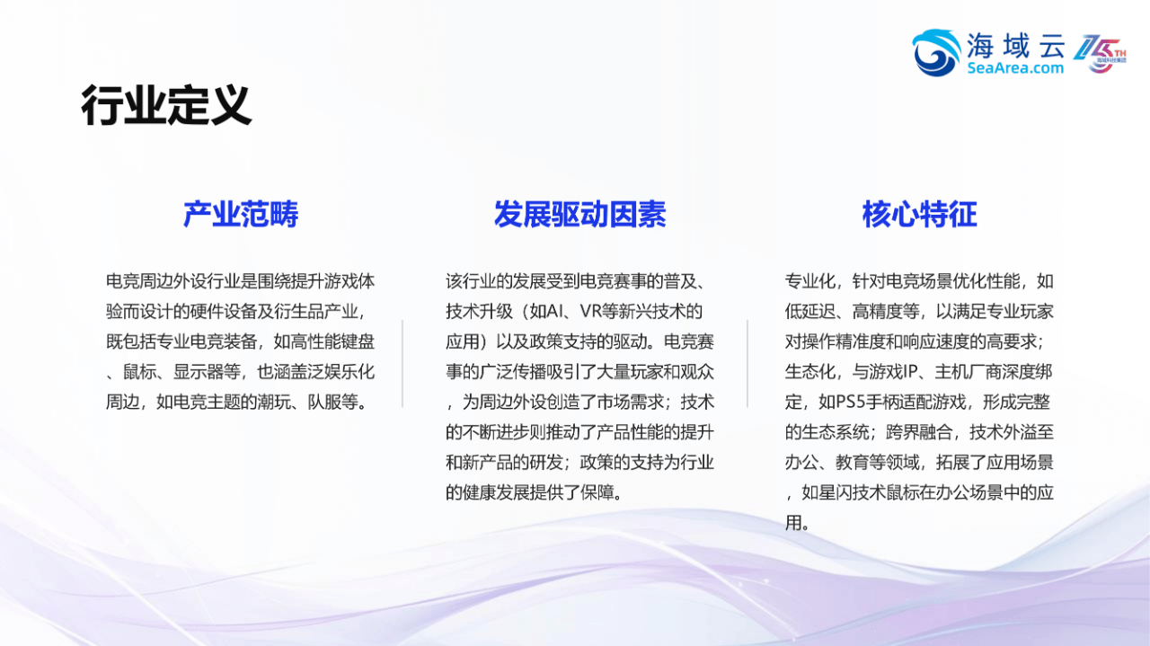 45页|2025年电竞周边外设行业欧洲市场开拓战略分析报告